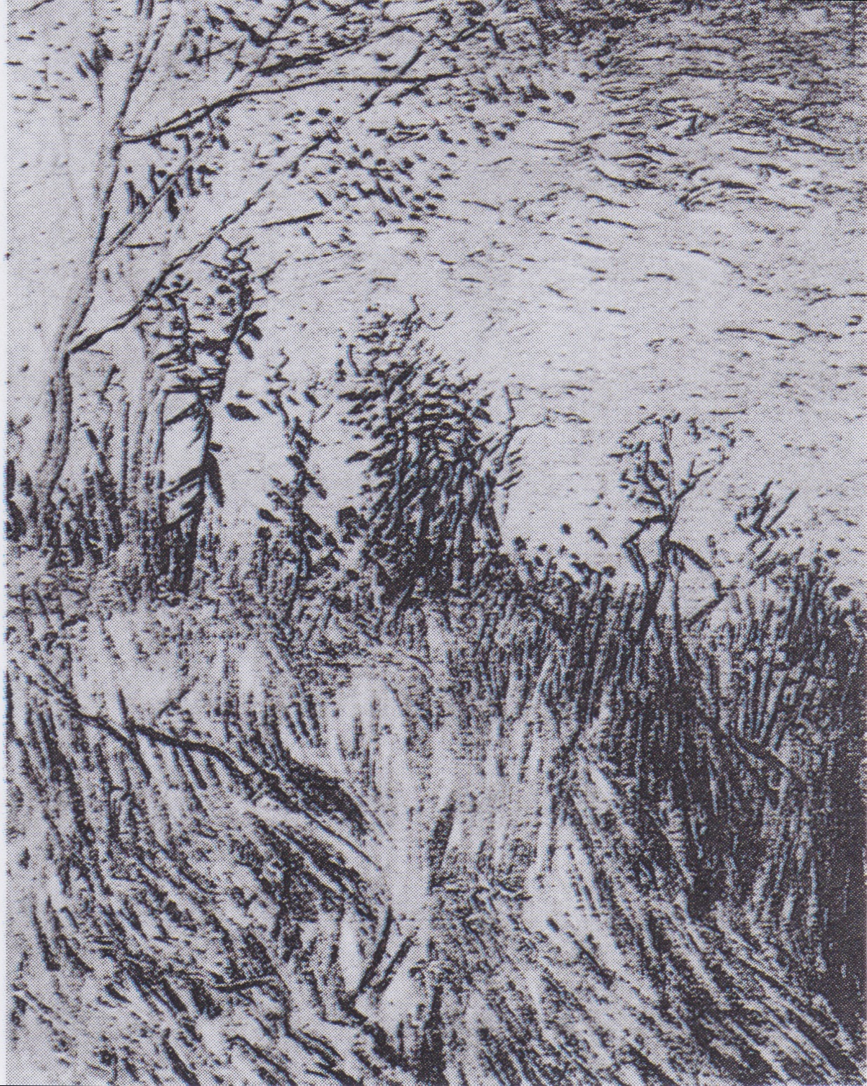 Vincent+Van+Gogh-1853-1890 (8).jpeg